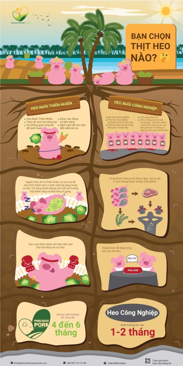 Thịt Heo - Hình ảnh 4